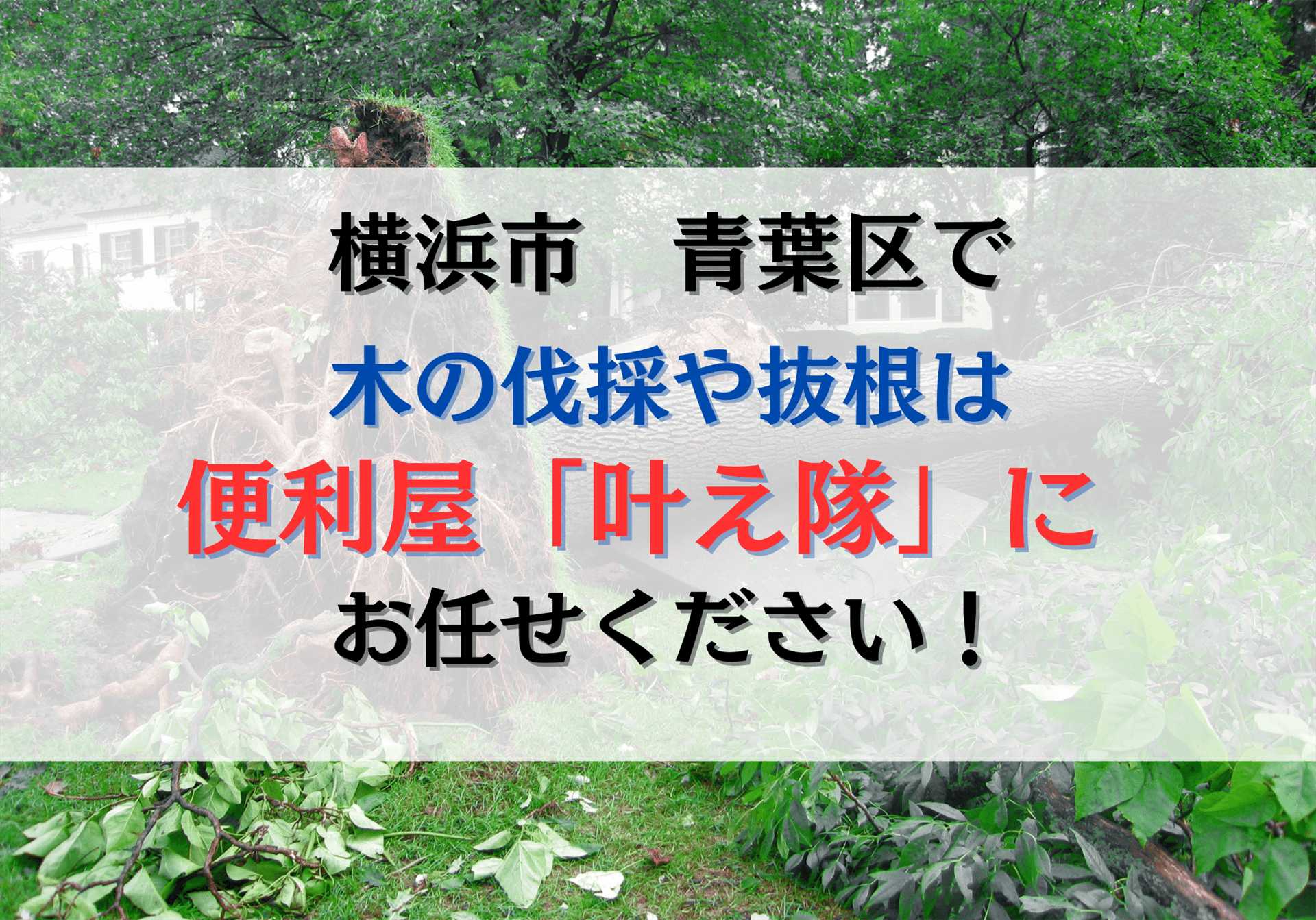 横浜市青葉区で竹や笹の伐採、竹林の整備は便利屋「叶え隊」におまかせ 